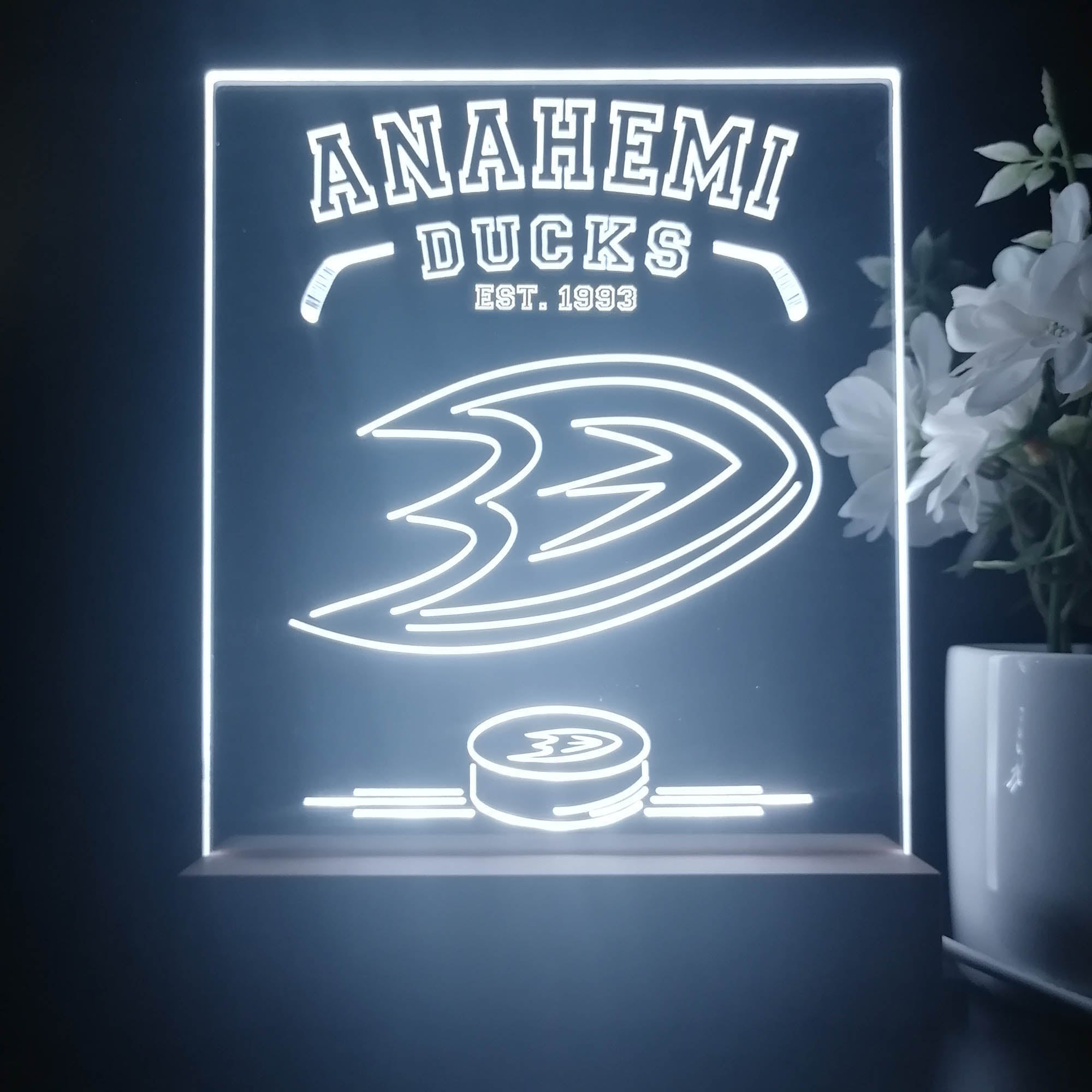 Personalized Anahemi Ducks Souvenir Neon LED Night Light Sign