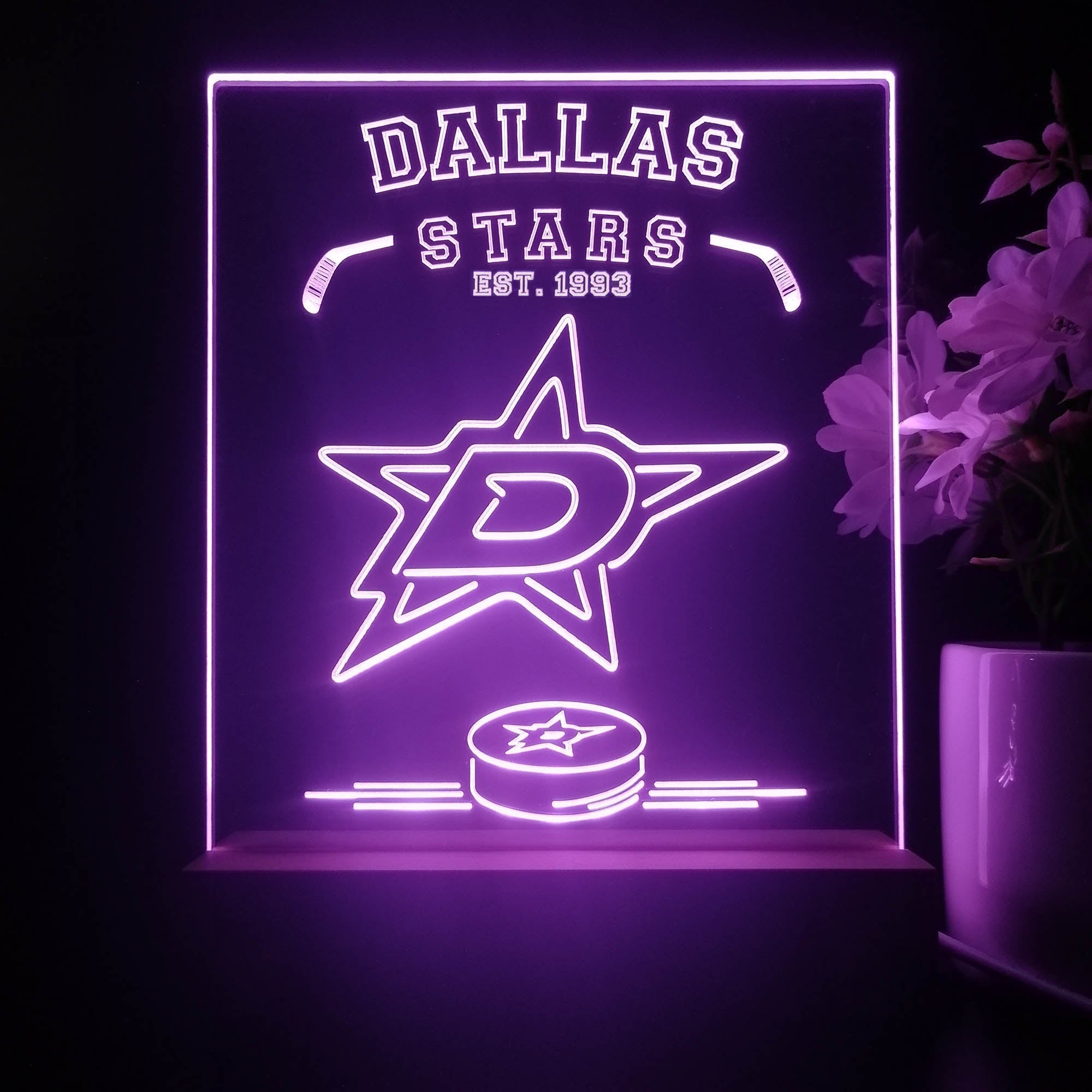 Personalized Dallas Stars Est 1993 Souvenir Neon LED Night Light Sign