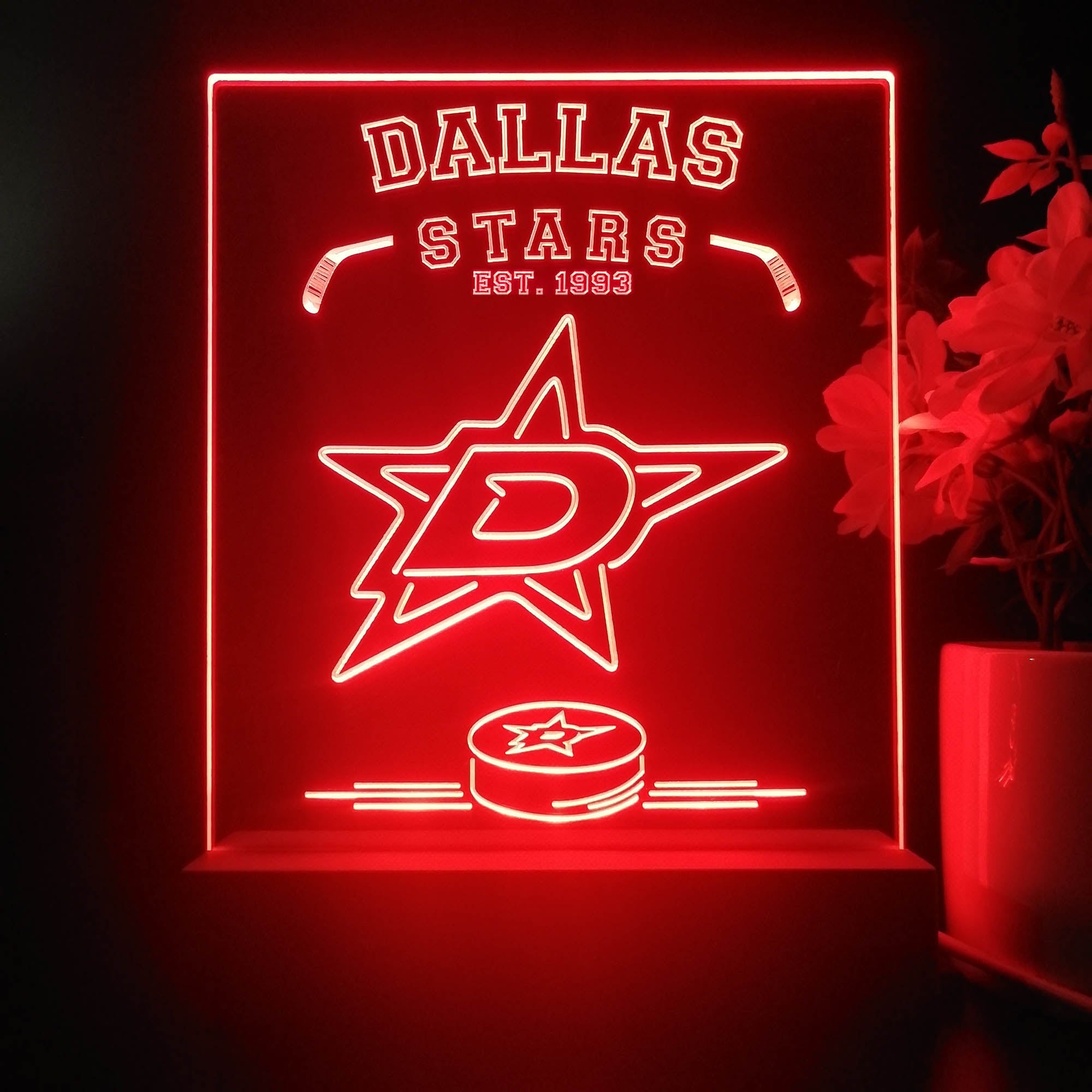 Personalized Dallas Stars Est 1993 Souvenir Neon LED Night Light Sign