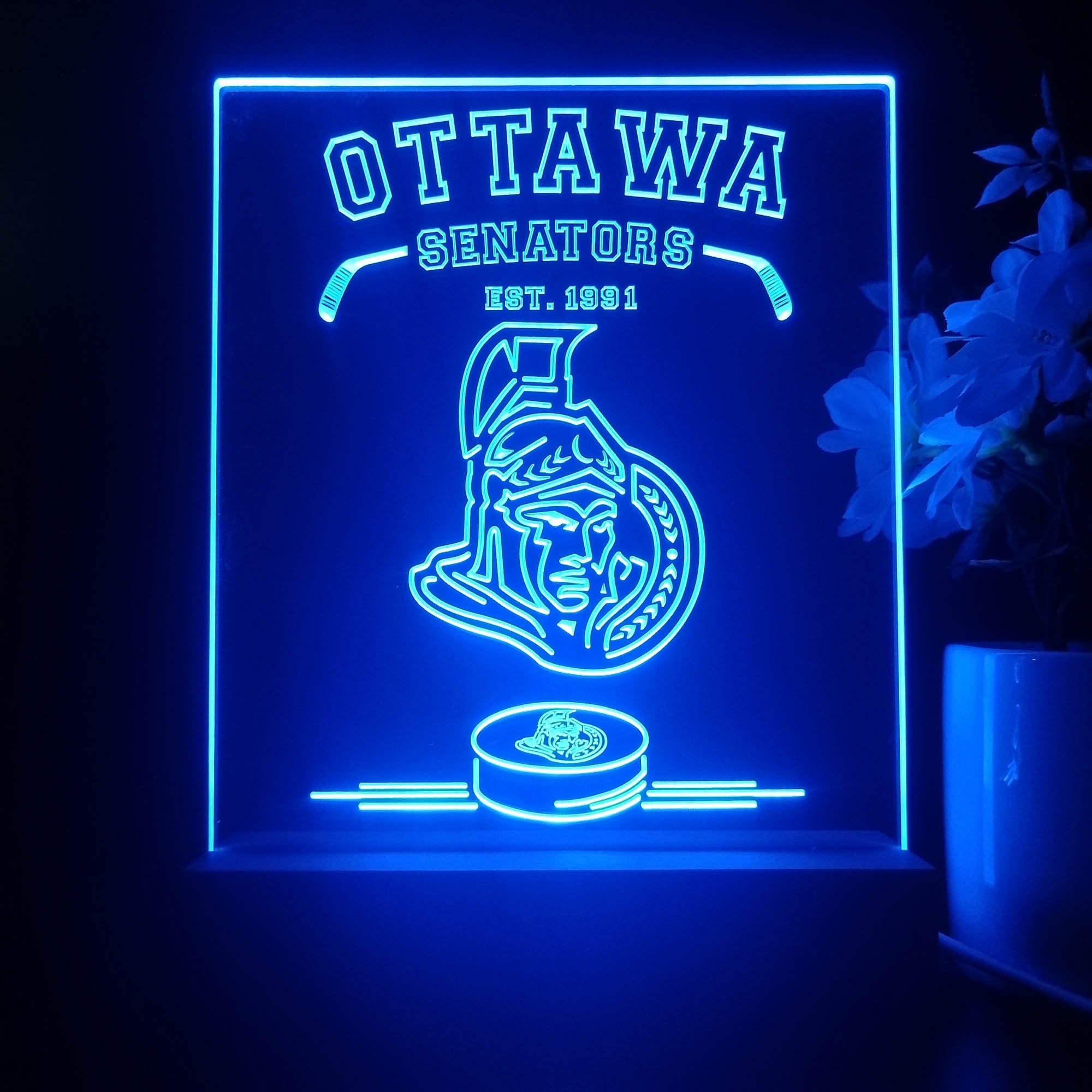 Personalized Ottawa Senators Souvenir Neon LED Night Light Sign