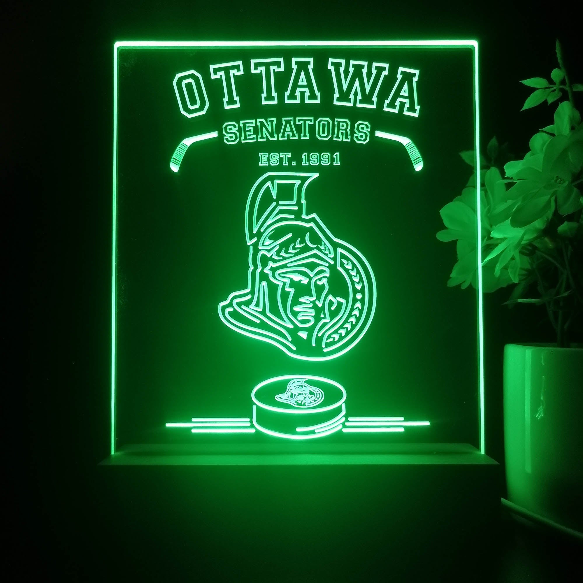 Personalized Ottawa Senators Souvenir Neon LED Night Light Sign