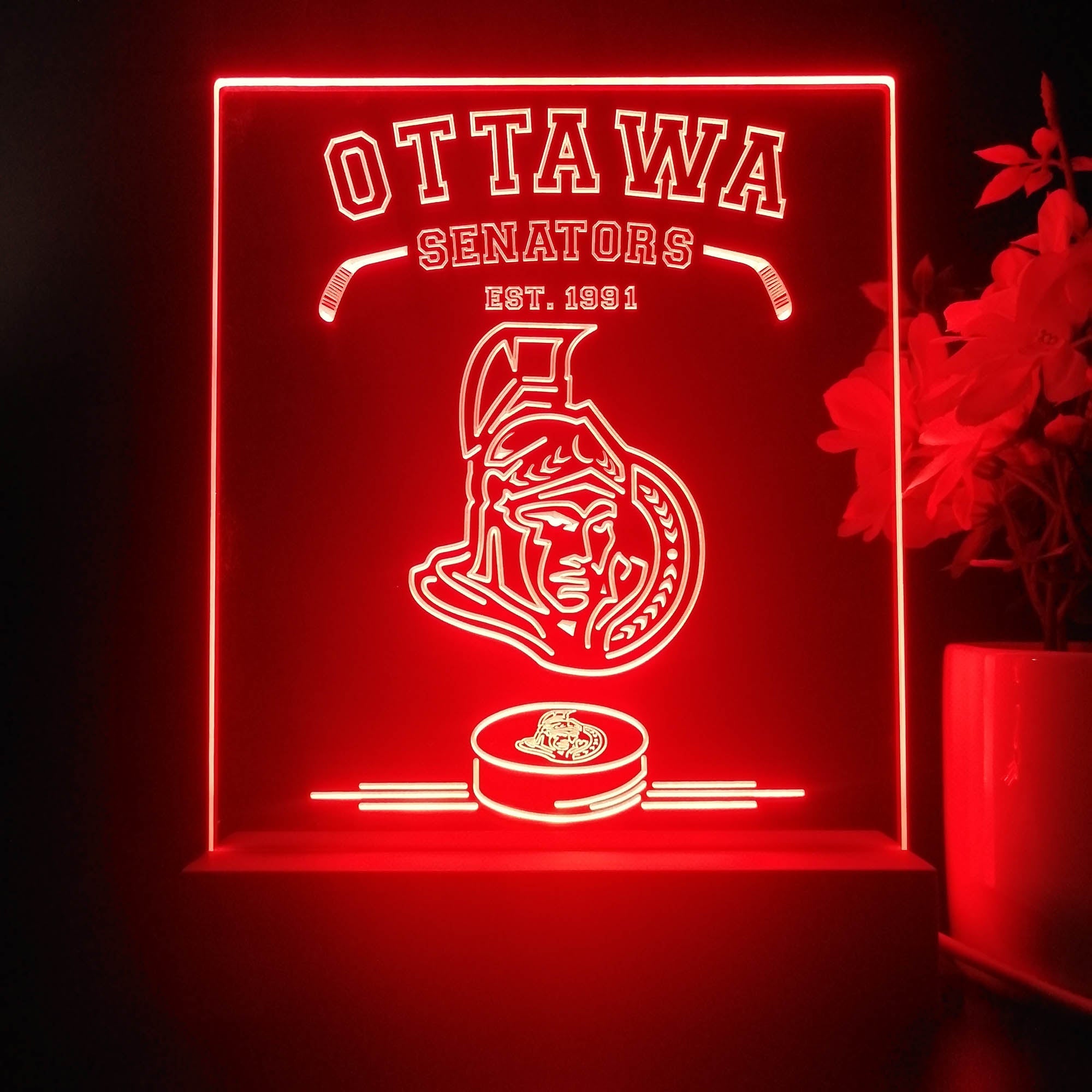Personalized Ottawa Senators Souvenir Neon LED Night Light Sign
