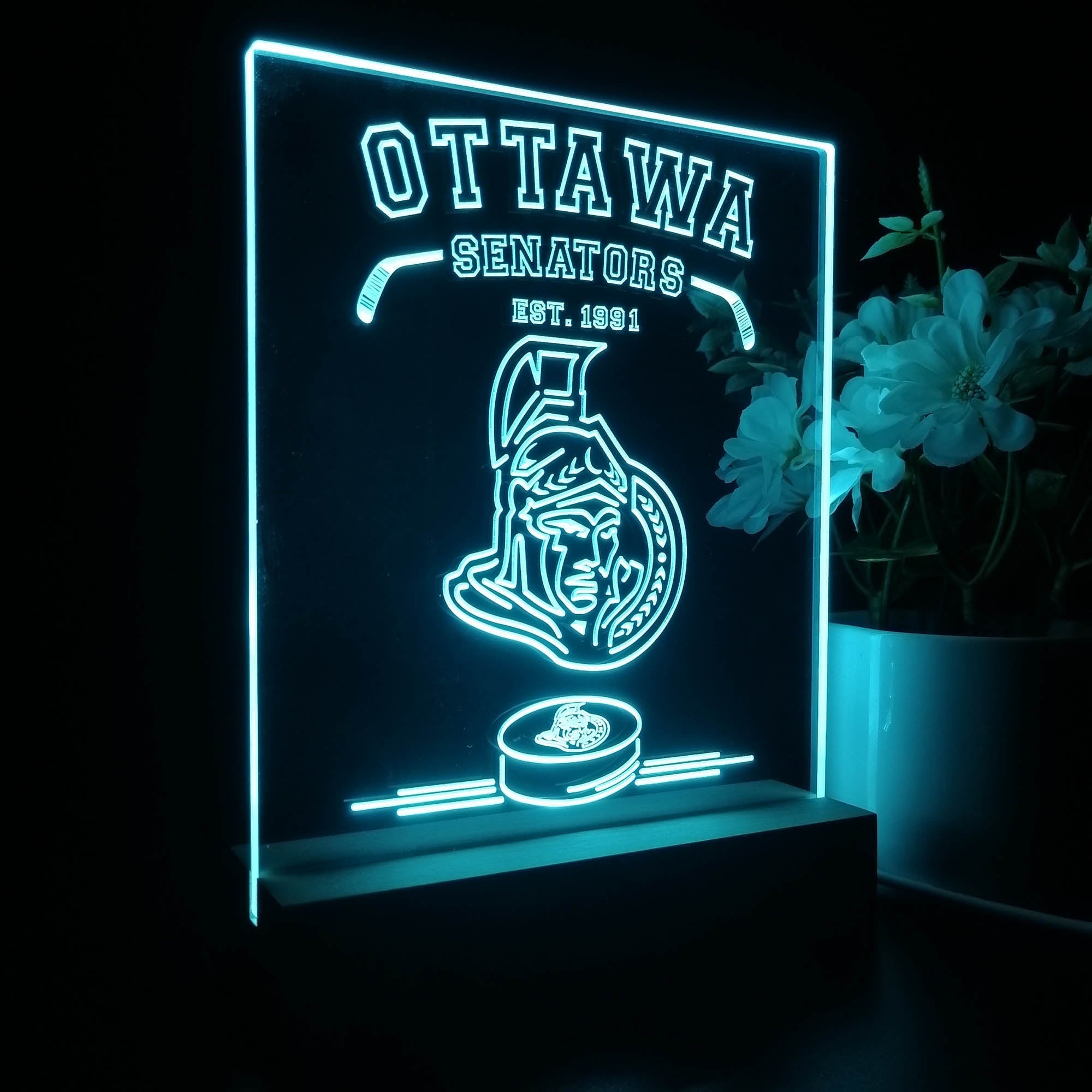 Personalized Ottawa Senators Souvenir Neon LED Night Light Sign