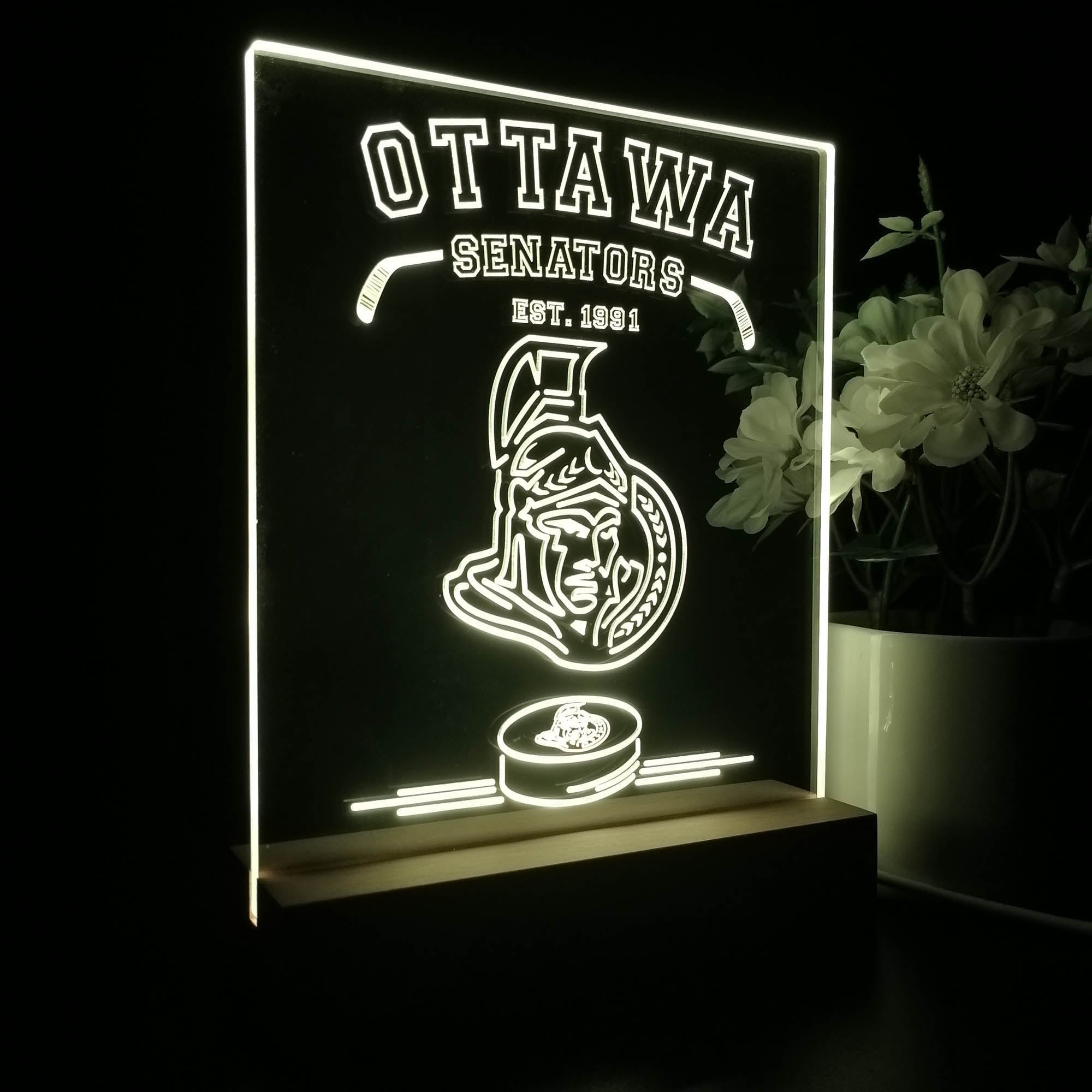 Personalized Ottawa Senators Souvenir Neon LED Night Light Sign