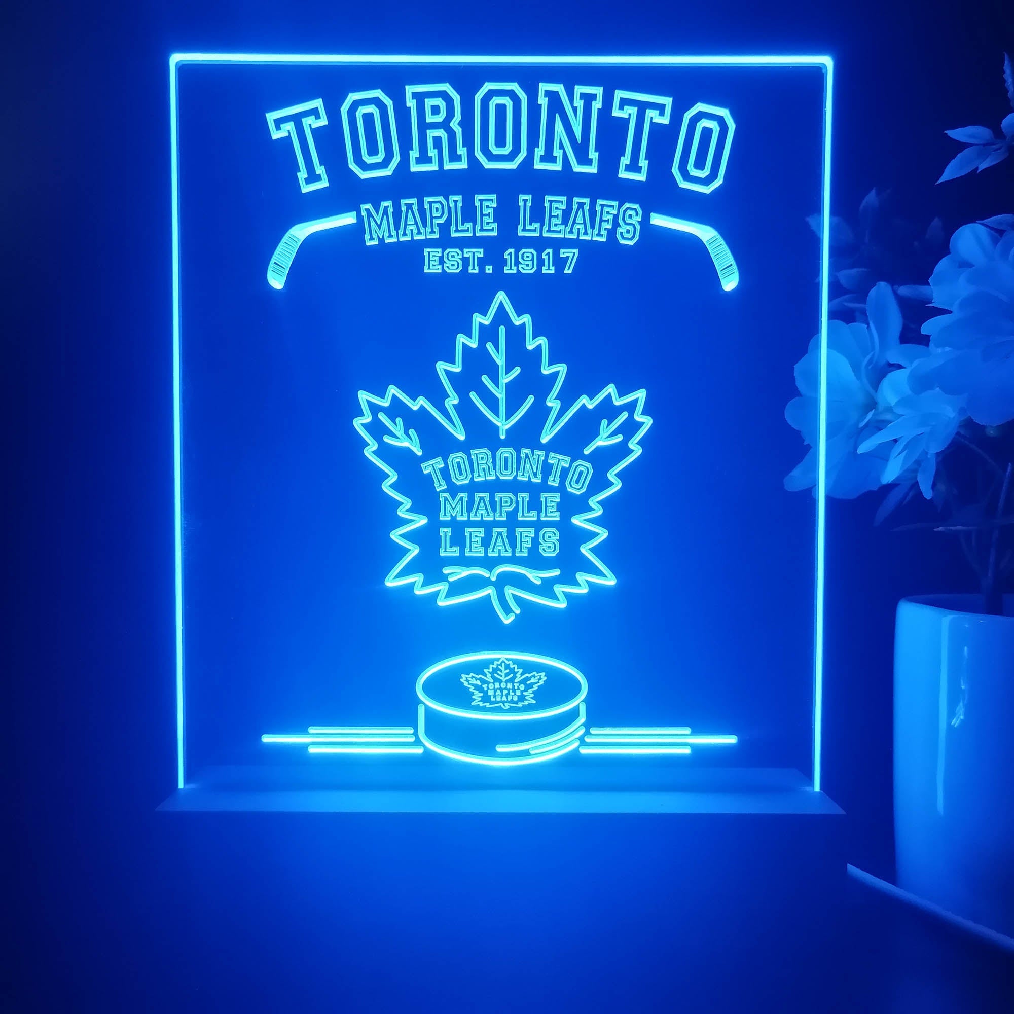 Personalized Toronto Maple Leaf Souvenir Neon LED Night Light Sign