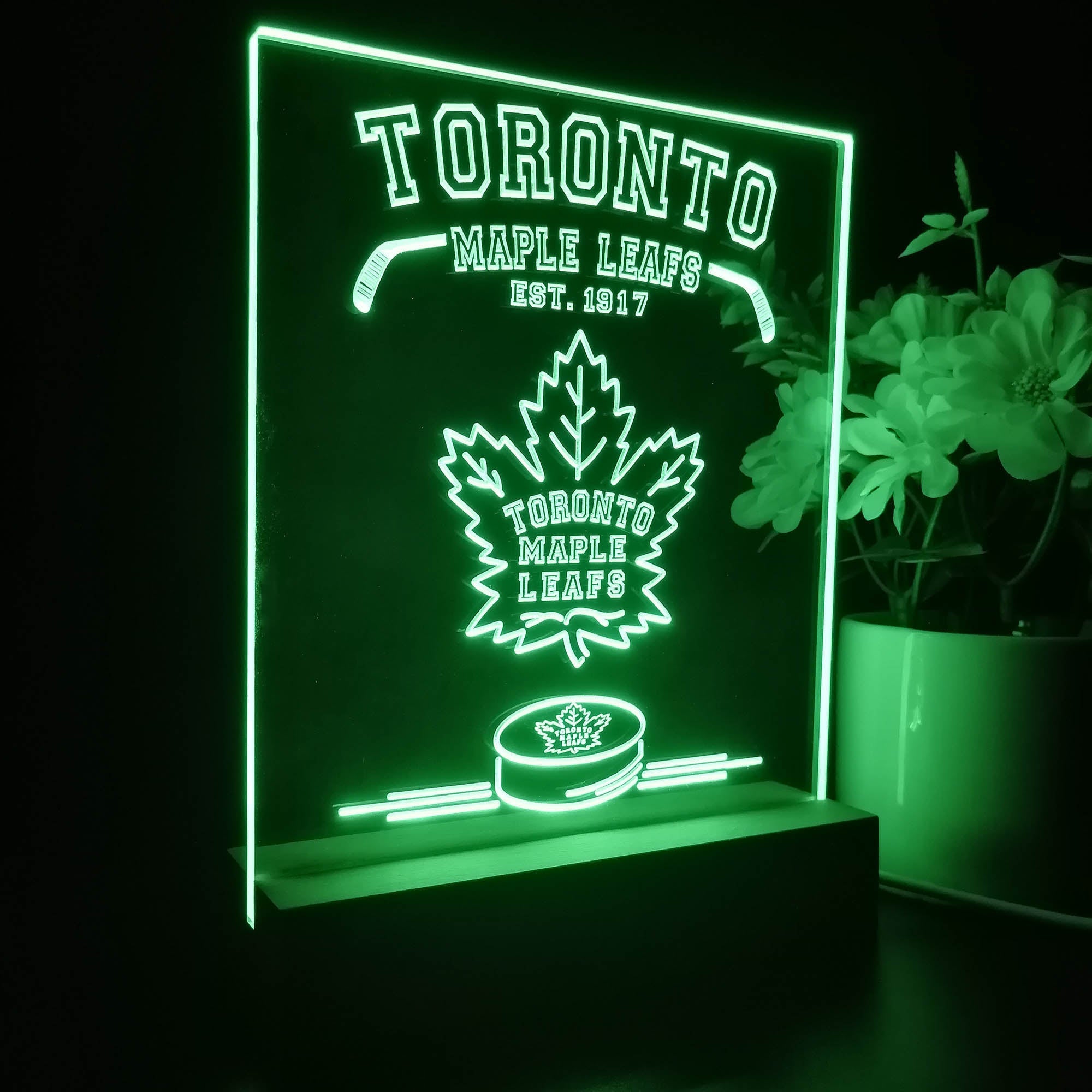 Personalized Toronto Maple Leaf Souvenir Neon LED Night Light Sign