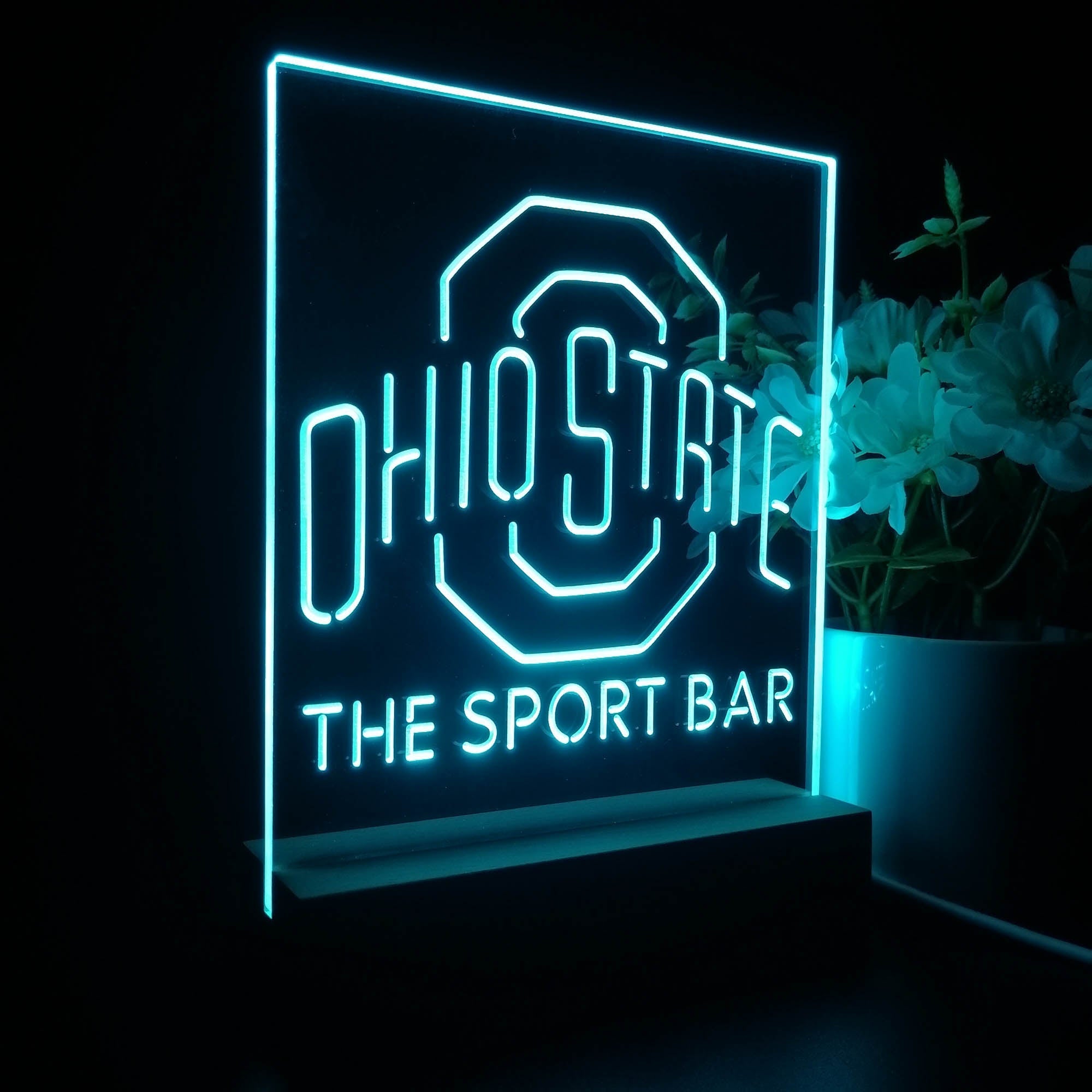 Personalized Ohio State Buckeyes Souvenir Neon LED Night Light Sign