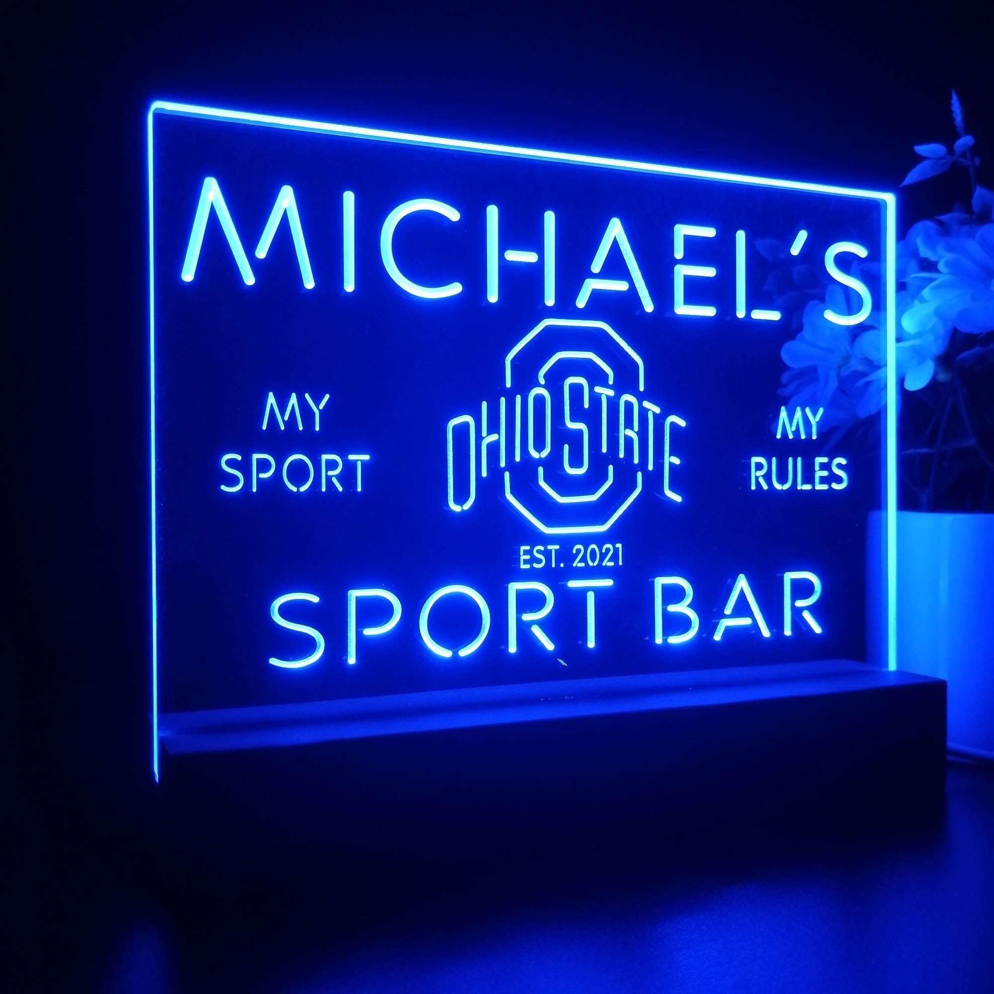 Personalized Ohio State Buckeyes Souvenir Neon LED Night Light Sign