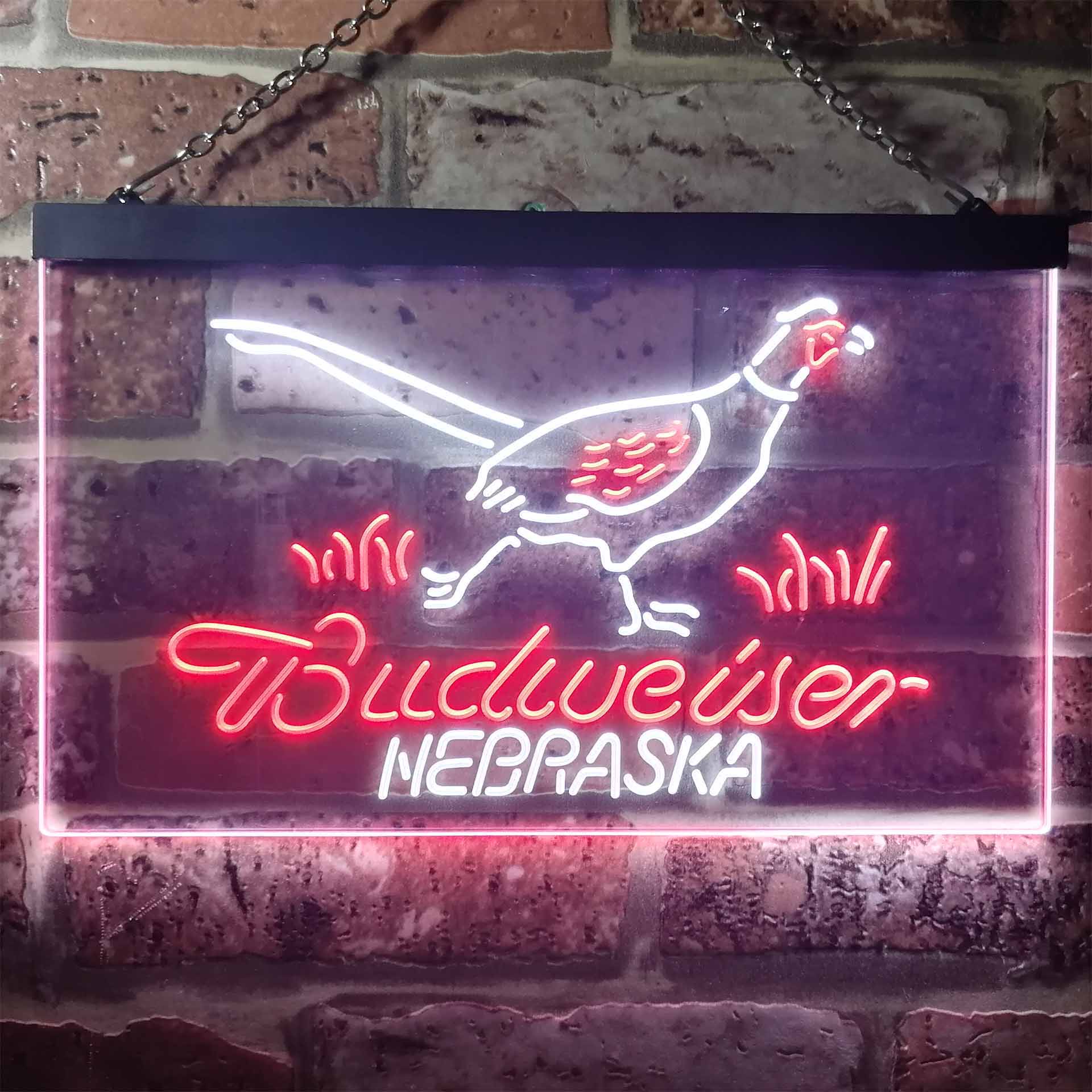 Nebraska Pheasant Hunter Budweiser's Dual Color LED Neon Sign ProLedSign