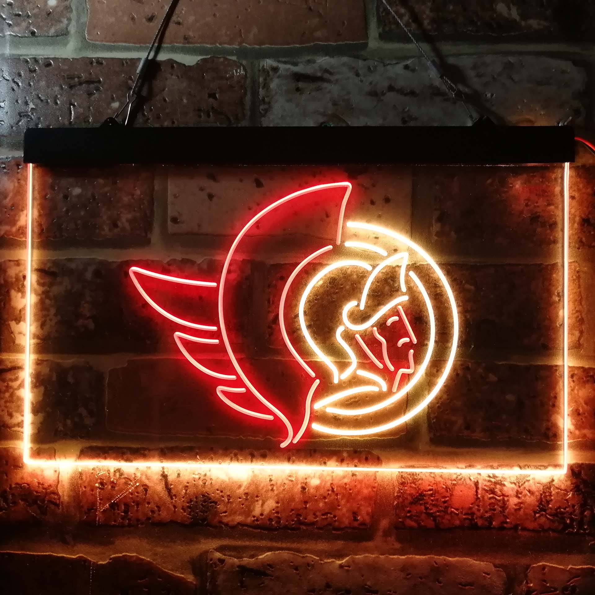 Ottawa Senators Neon-Like LED Sign