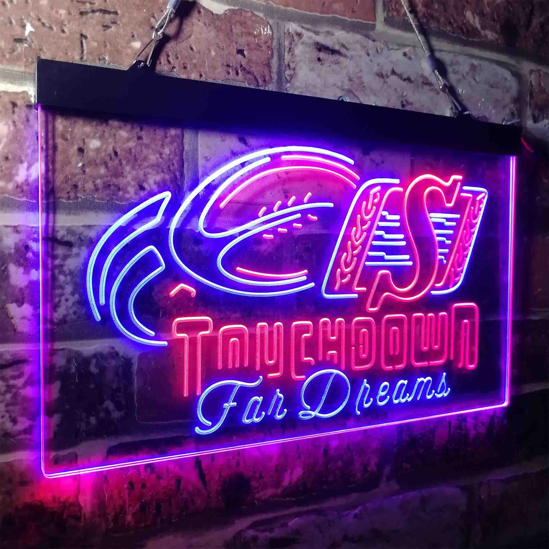 Saskatchewan Roughriders Neon-Like LED Sign