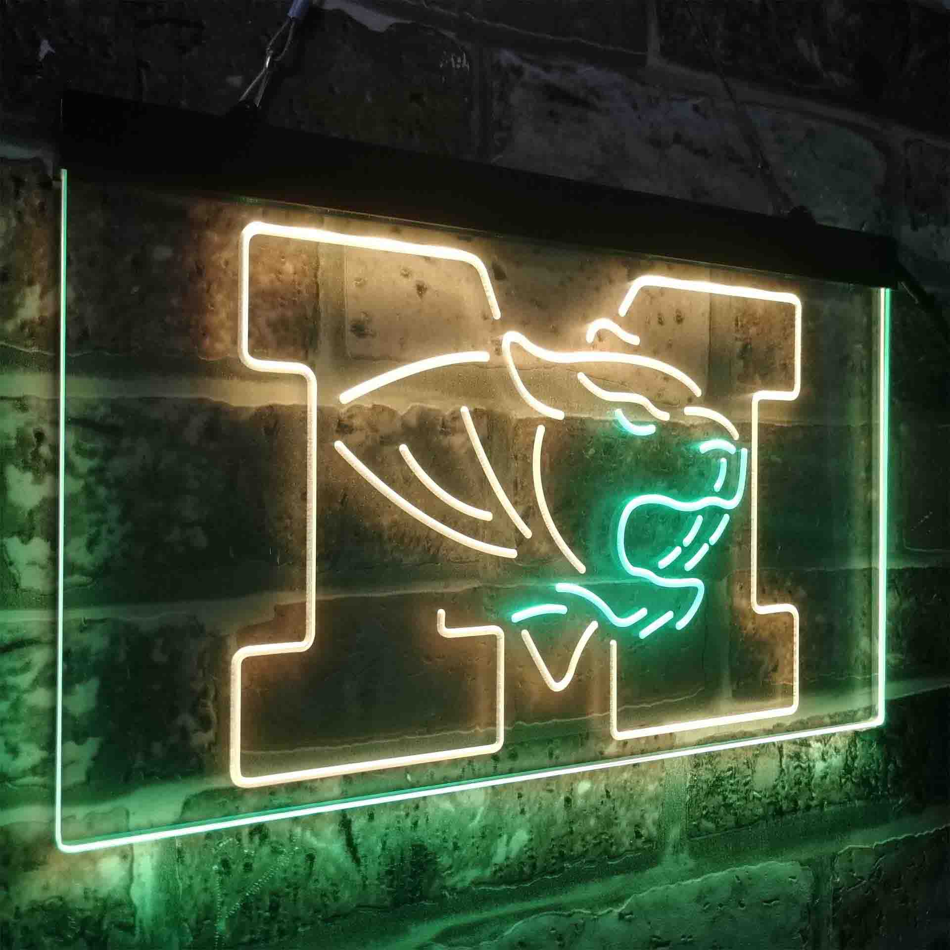 University of Missouri Tigers,NCAA Neon-Like LED Sign