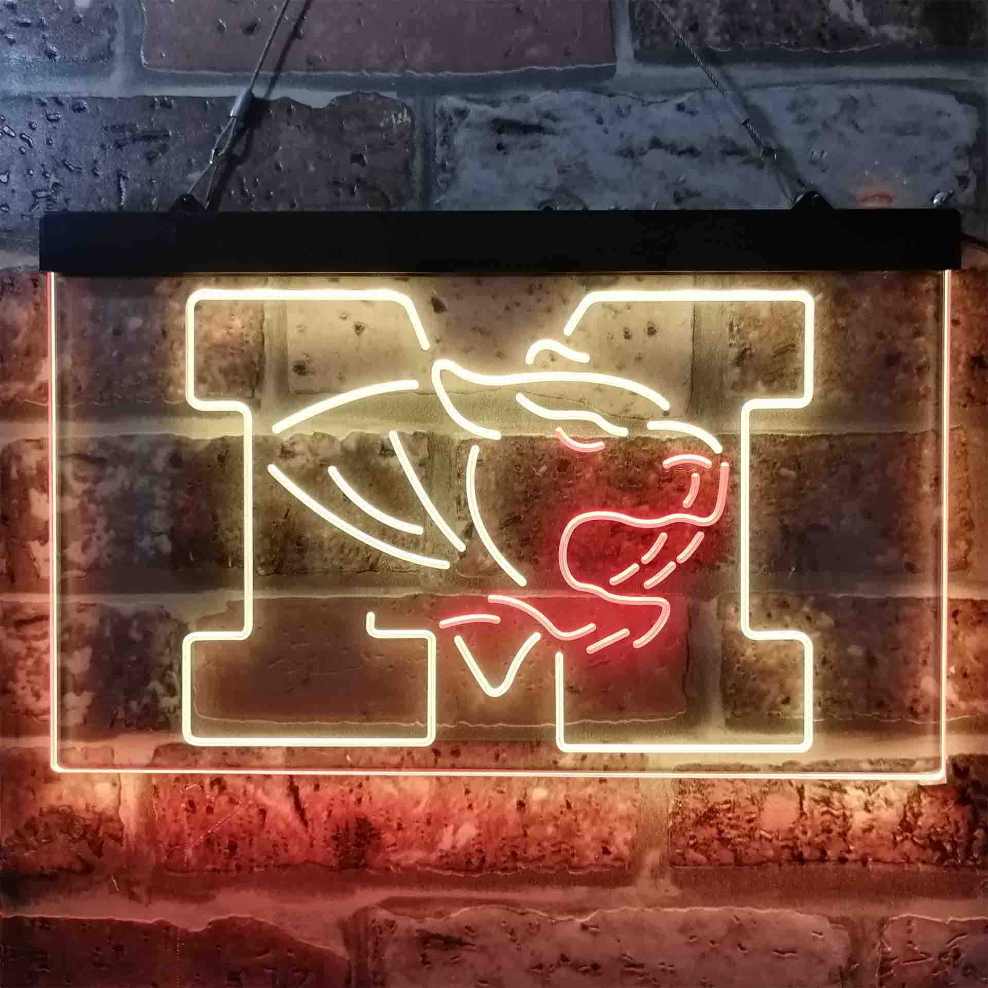 University of Missouri Tigers,NCAA Neon-Like LED Sign