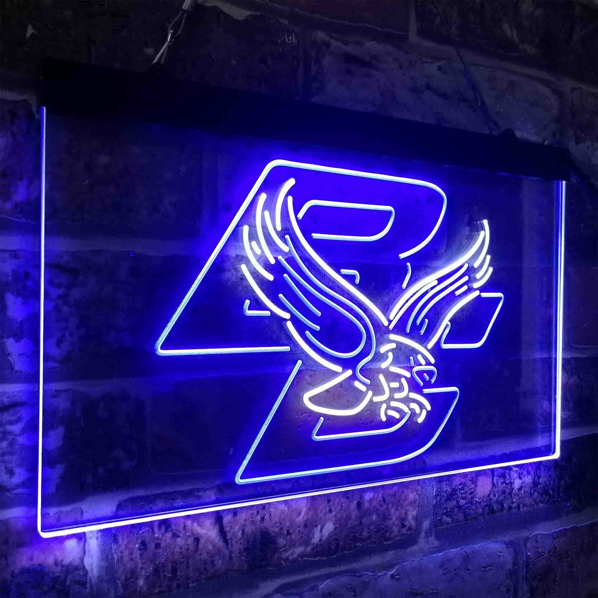 College Neon Light Signs and NCAA Neon Lights