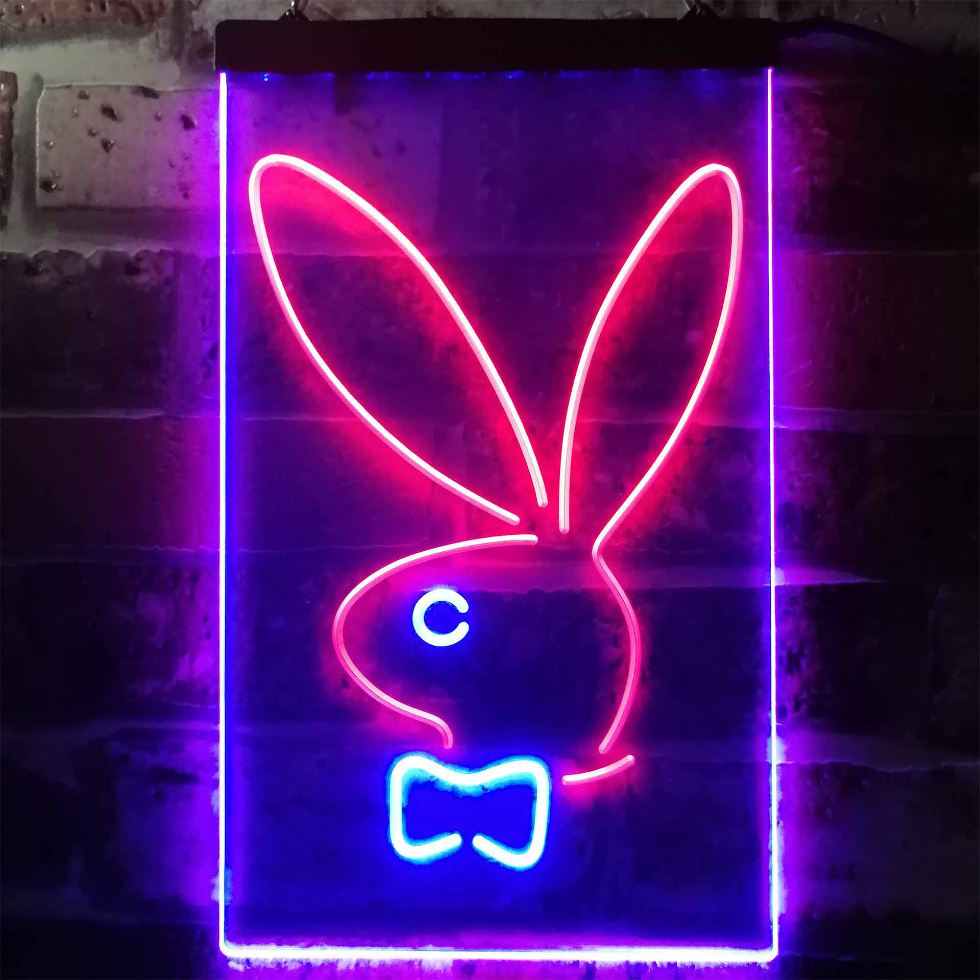 Bunny Rabbit Kid Dual Color LED Neon Sign ProLedSign