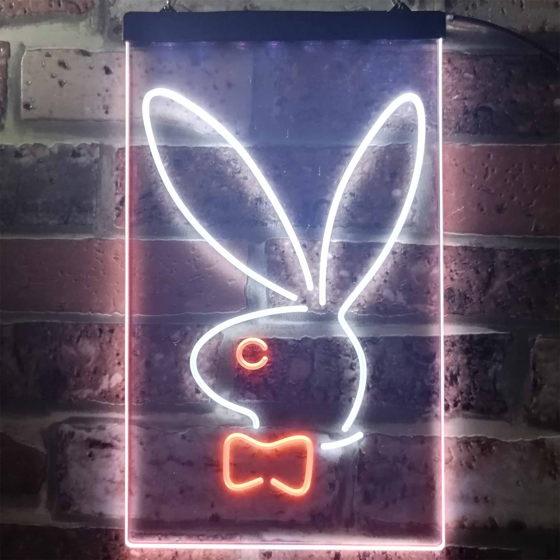 Bunny Rabbit Kid Dual Color LED Neon Sign ProLedSign