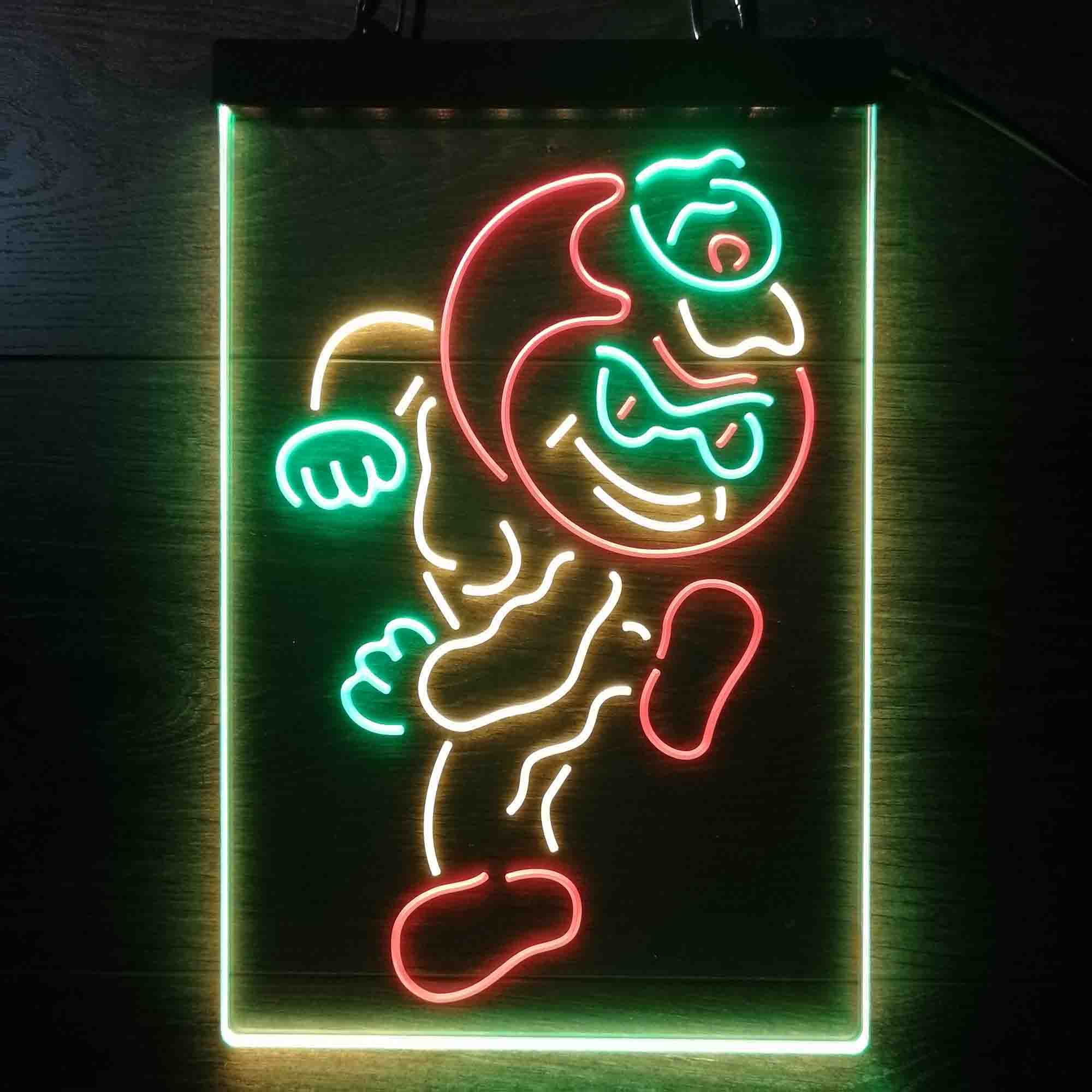 Ohios States Buckeyes Brutus Sport Team Club Neon LED Sign 3 Colors